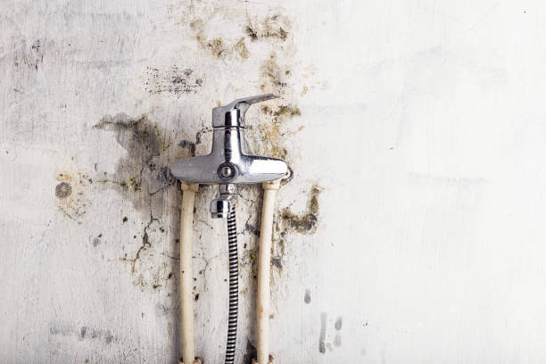 Best Kitchen Mold Remediation in Loudoun Lley Estates, VA