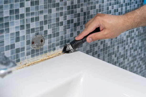 Best Residential Mold Remediation in Loudoun Lley Estates, VA